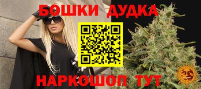apvp Канаш
