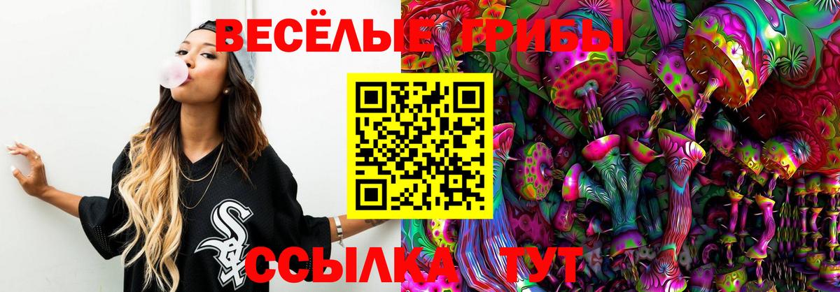 Псилоцибиновые грибы Psilocybe  Псилоцибиновые грибы MAGIC MUSHROOMS  Геленджик  Вход с VPN 